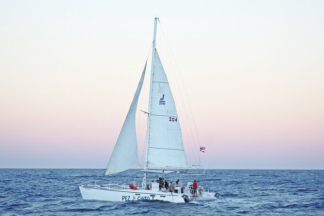 Half-Day Snorkel Experience and Party Catamaran in Los Cabos! + Round Trip - The Sum Up