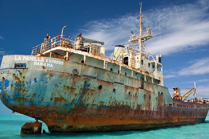 Half-day Snorkeling, Cruising, Iguana Island, Half Moon Bay - Diving Into the Experience: What to Expect on This Turks and Caicos Tour  