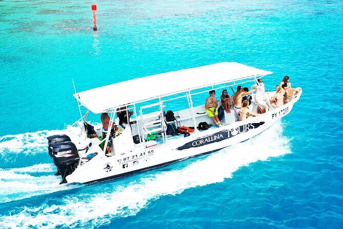 Half Day Snorkeling in Moorea - Key Points