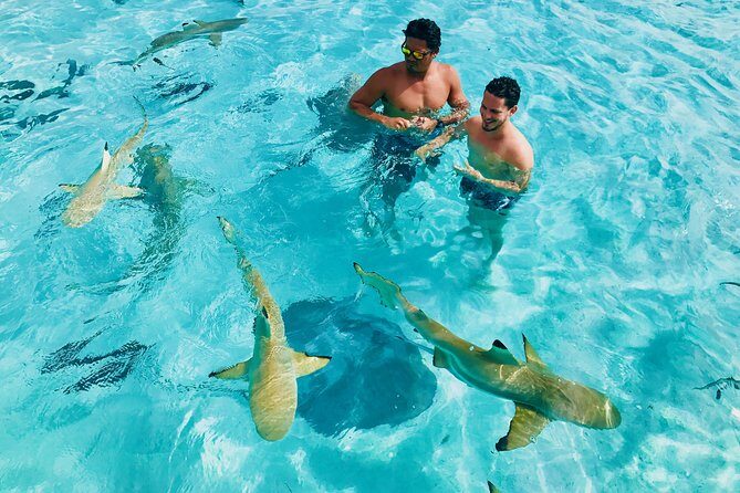 Half Day Snorkeling in Moorea - An In-Depth Look at the Tour Experience