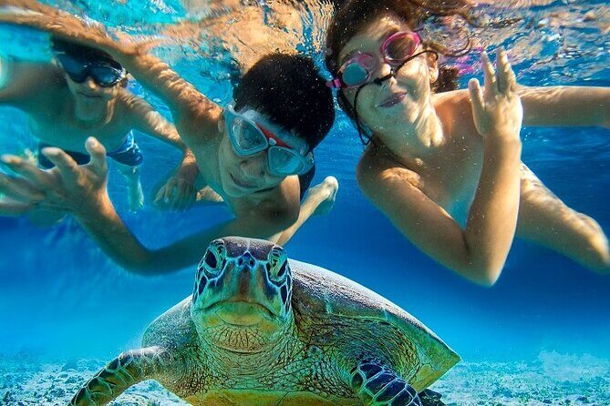 Half Day Snorkeling Tour from Margaritaville - The Crew and Atmosphere
