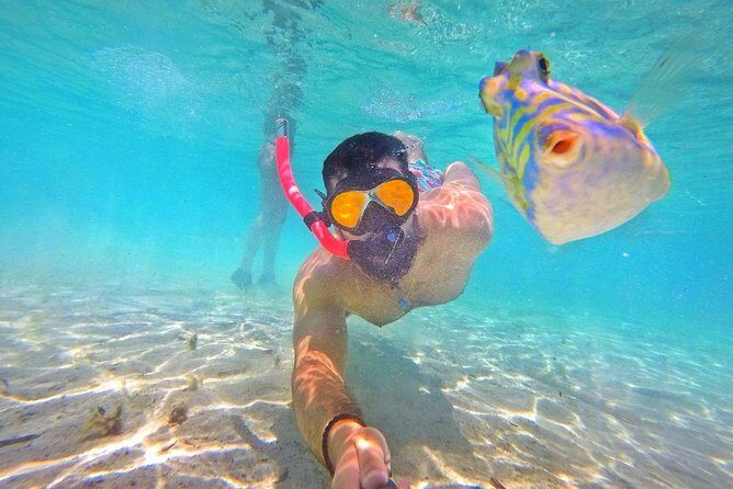 Half Day Snorkeling Tour in the Bahamas - Practical Details and Booking