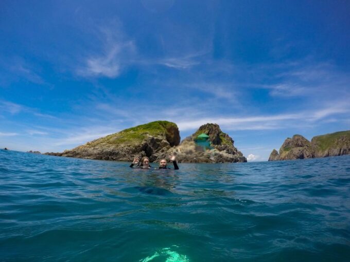 Half-Day Snorkeling Trip in Nha Trang With Vietnam Active - Tips for a Great Trip