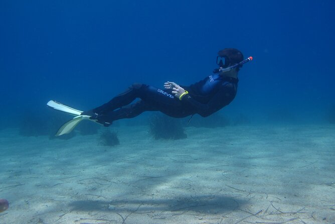 Half Day Snorkelling Experience With a Dive Boat in Kos Greece - What to Expect