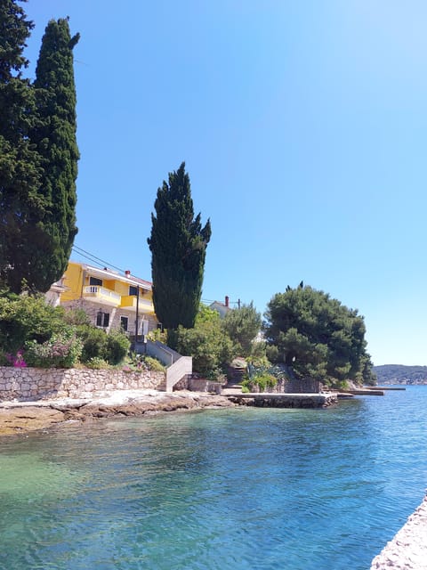 Half-Day Speedboat Trip From Zadar - Highlights and Experiences