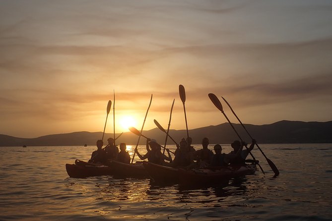 Half-Day Split Sea Kayak Adventure - Safety Precautions and Guidelines