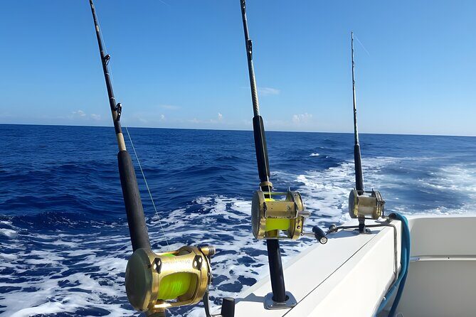 Half Day Sport Fishing Excursion Departing from Sosua - The Authentic Touch: Reviews Insights