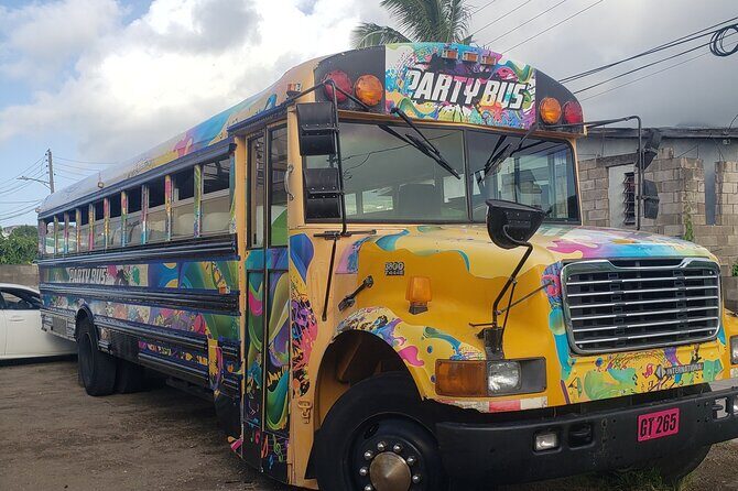 Half Day St. Kitts Party Bus City Excursion and Beach - Who Should Consider This Tour?