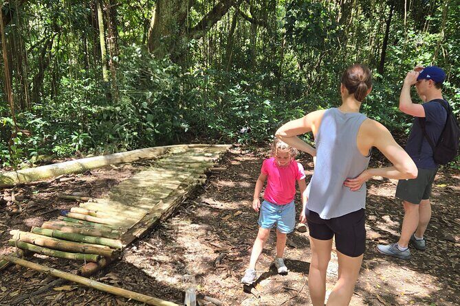 Half-Day St. Kitts Rainforest Hike - Practical Tips for Travelers