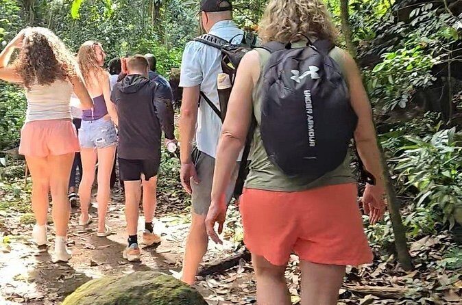 Half-Day St. Kitts Rainforest Hike - Who Should Book This Tour?