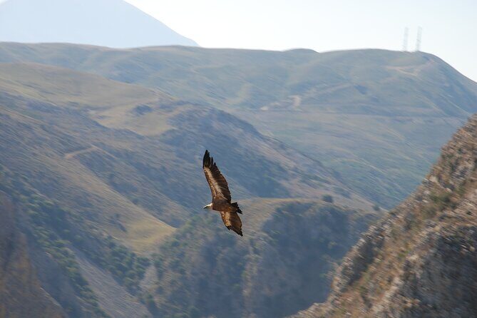 Half Day Sunset Tour in Rethymno with Dinner and Wine - FAQs