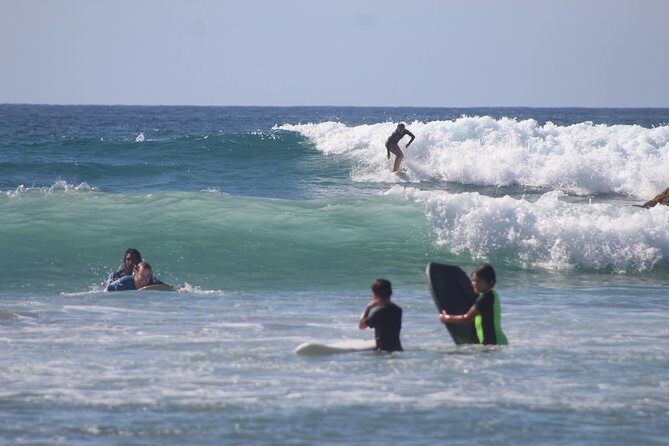 Half Day Surfari | Good for all Levels & Ages - A Closer Look at the Half Day Surfari Experience