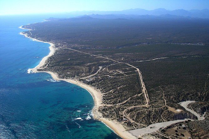 Half Day Surfari | Good for all Levels & Ages - Deep Dive into the Itinerary