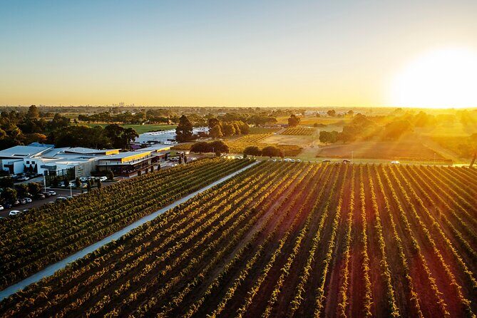 Half-Day Swan Valley Winery & Brewery - Final Thoughts