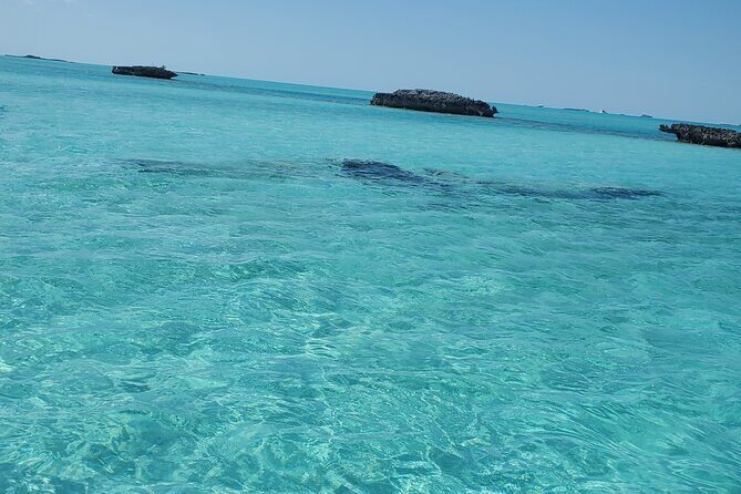 HALF DAY Swiming Pigs and Sharks Tour (Nassau to Exuma by Plane) - Who Should Consider This Tour?