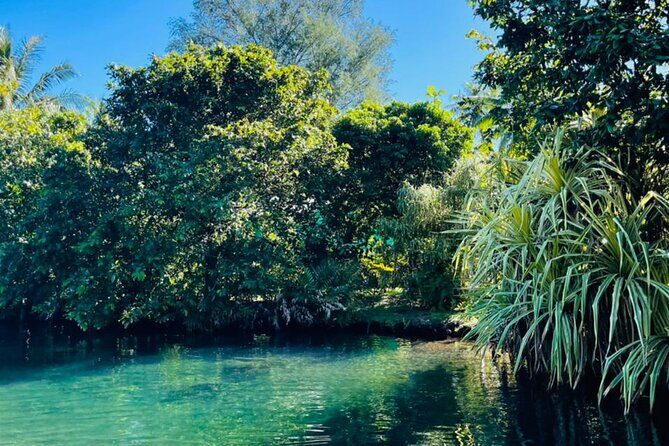 Half day Tahiti Peninsula and Teahupoo boat tour (shared boat) - Frequently Asked Questions