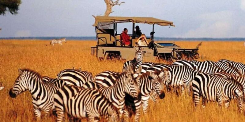 Half Day Tala Game Reserve & Natal Lion Park From Durban - Good To Know