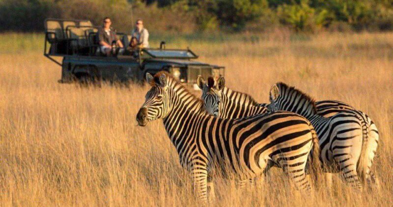 Half Day Tala Game Reserve & Natal Lion Park Tour Fro Durban - Good To Know