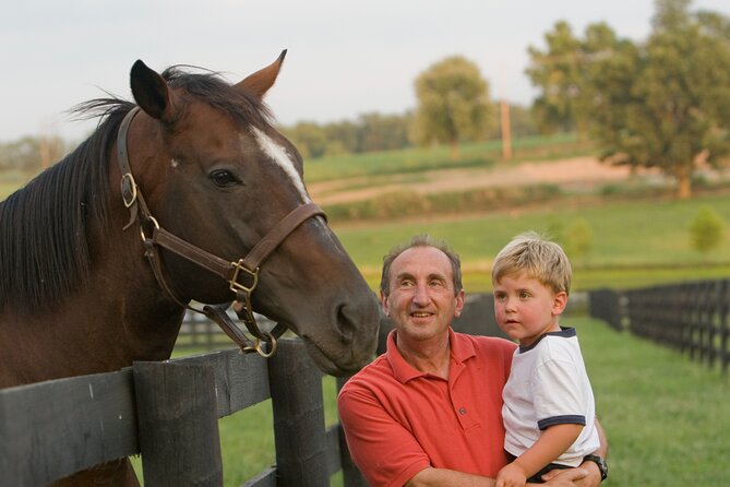 Half-Day Thoroughbred Horse Farm Tour in Kentucky - Itinerary Highlights