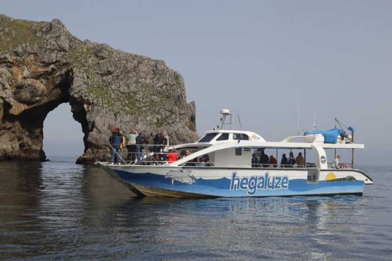 Half Day to Bermeo, Gaztelugatxe and Guernica With Boat Trip - Tour Overview
