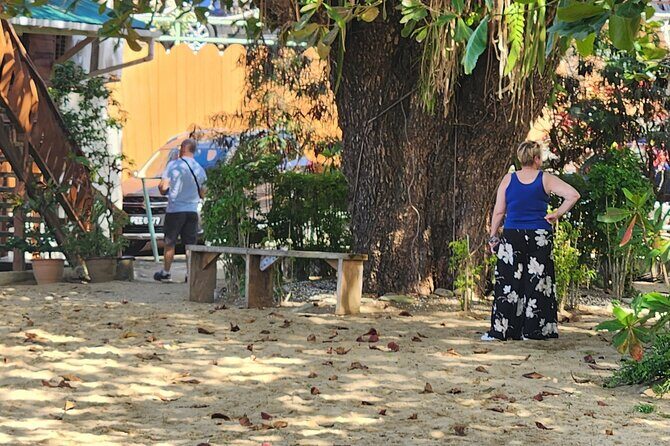 Half Day Tobago Tours with Transfers - A Deep Dive into the Itinerary