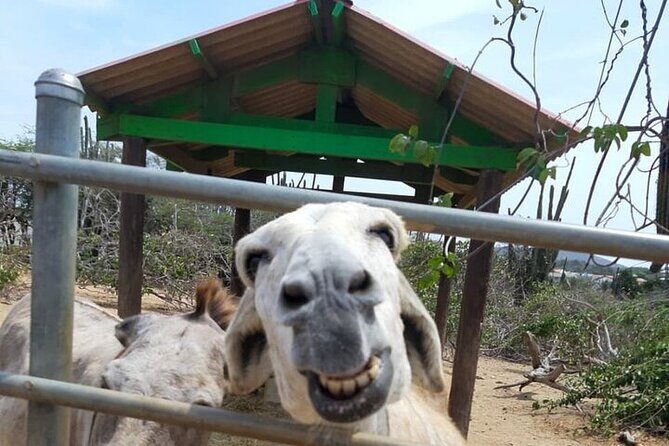 Half day Tour - The Experience of Traveling with Jeff