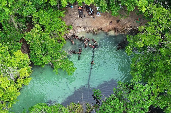 Half Day Tour and Buggie Adventure at Samana - The Bottom Line