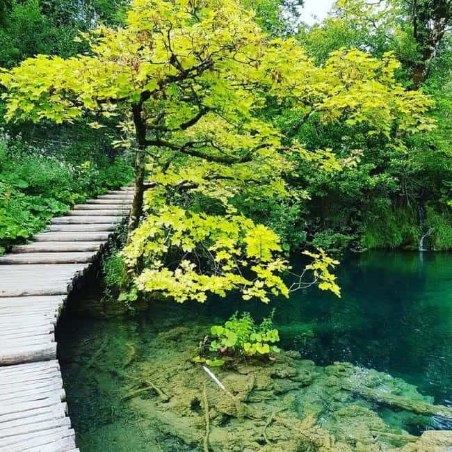 Half day tour around Plitvice Lakes - Practical Tips for Travelers