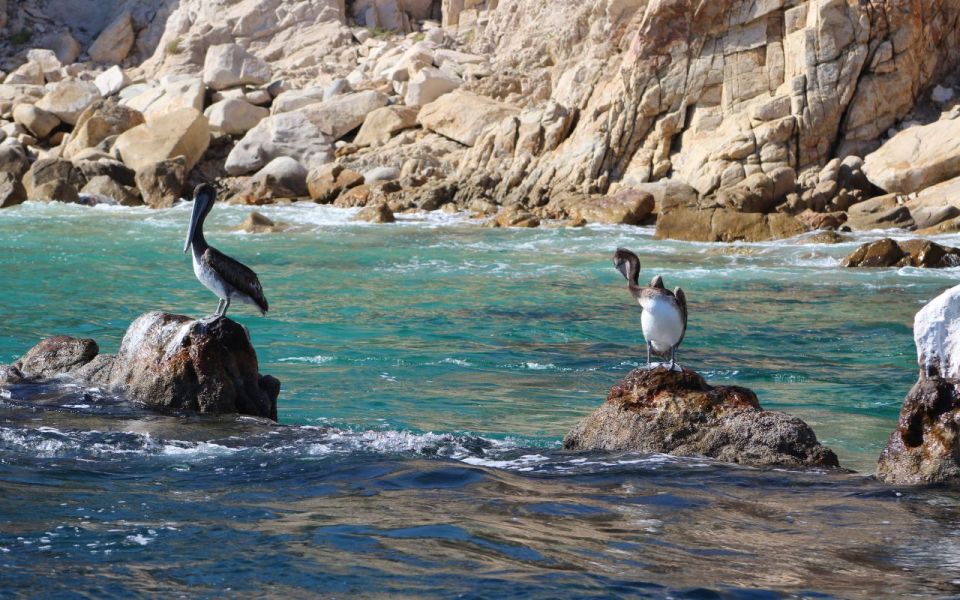 Half-Day Tour at Sunset in Cabo San Lucas Bay - Important Notes