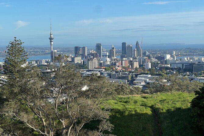 Half-Day Tour: AUCKLAND CITY Highlights with Hotel Pickup - Key Points