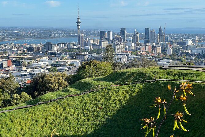 Half-Day Tour: AUCKLAND CITY Highlights with Hotel Pickup - The Convenience of Hotel Pickup and Group Size
