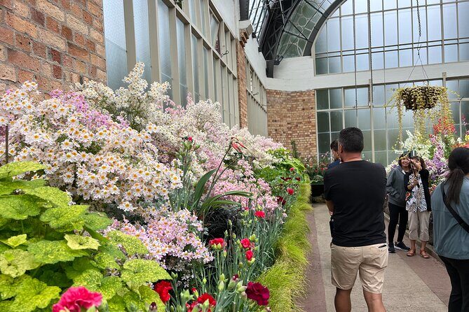 Half-Day Tour: AUCKLAND CITY Highlights with Hotel Pickup - Who Should Book This Tour?