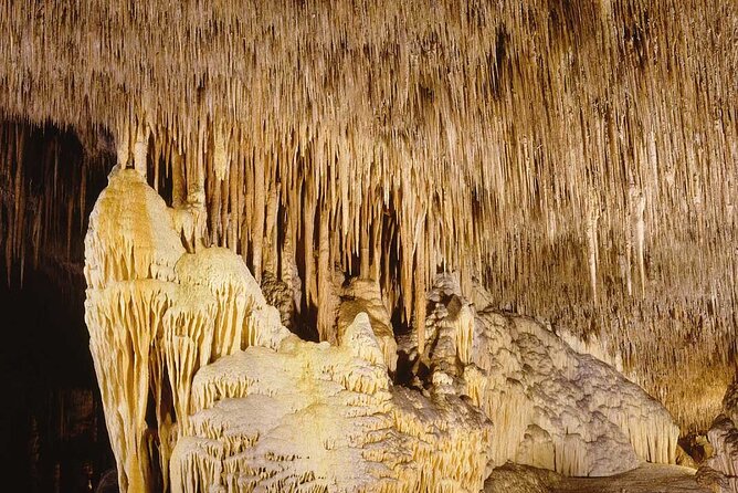 Half Day Tour Bus to the Caves of Drach - Potential Issues and Considerations