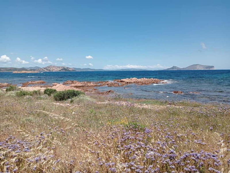 Half-day tour by dinghy in the Tavolara Marine Protected Area - Key Points