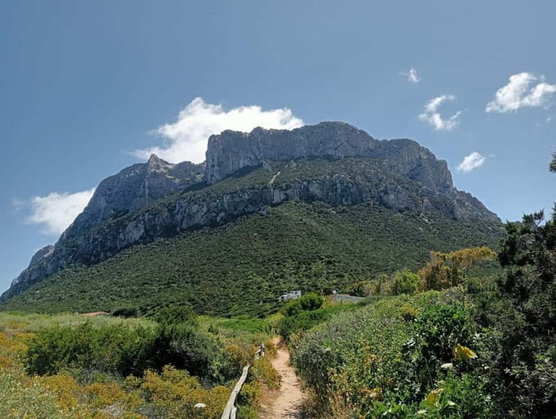 Half-day tour by dinghy in the Tavolara Marine Protected Area - Detailed Breakdown of the Itinerary