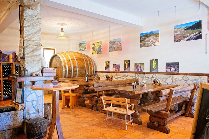 Half Day Tour - Deep and Dark Red Wine of Pelješac - Taking in Pelješac Vineyards