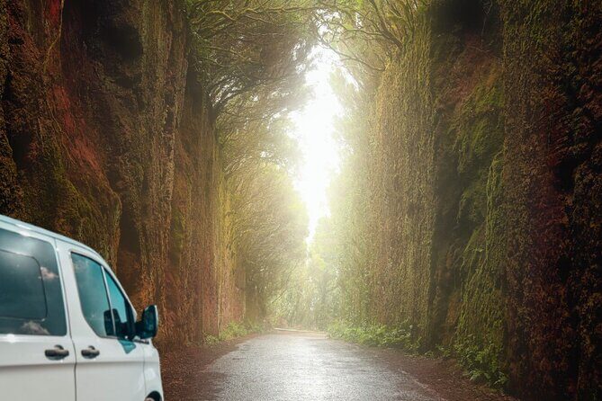 Half Day Tour Discovering Anaga Tenerife - An Overview of the Itinerary