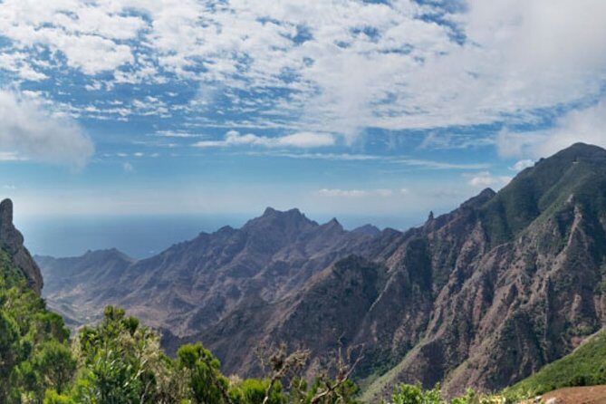 Half Day Tour Discovering Anaga Tenerife - What the Tour Includes and What It Doesn’t