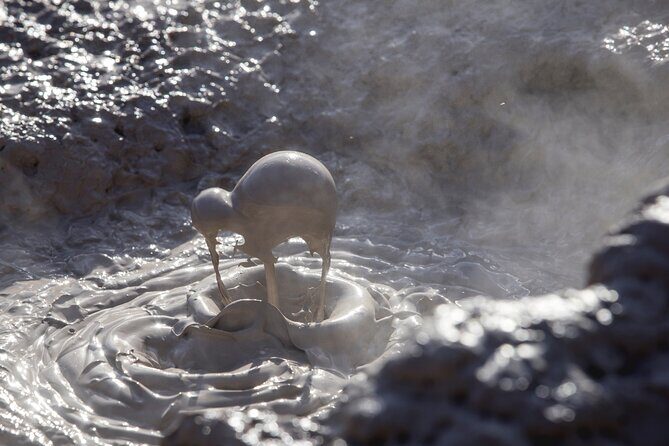Half-Day Tour - Ex Rotorua: WAI-O-TAPU Thermal Wonderland - The Itinerary: What to Expect