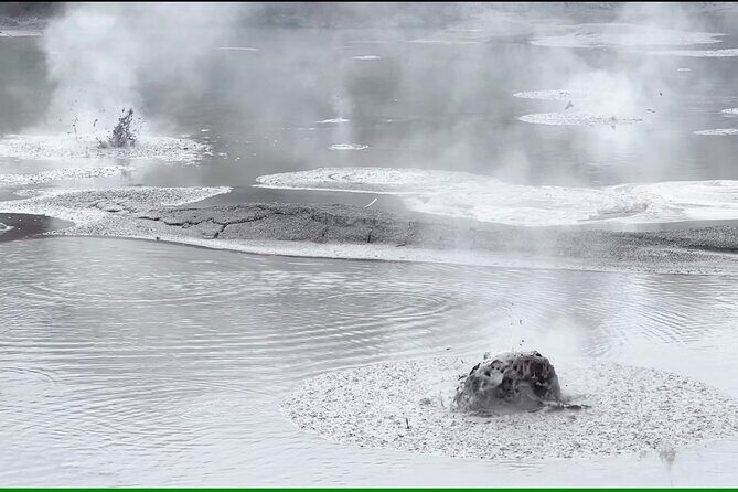 Half-Day Tour - Ex Rotorua: WAI-O-TAPU Thermal Wonderland - The Pros and Cons Based on Reviews