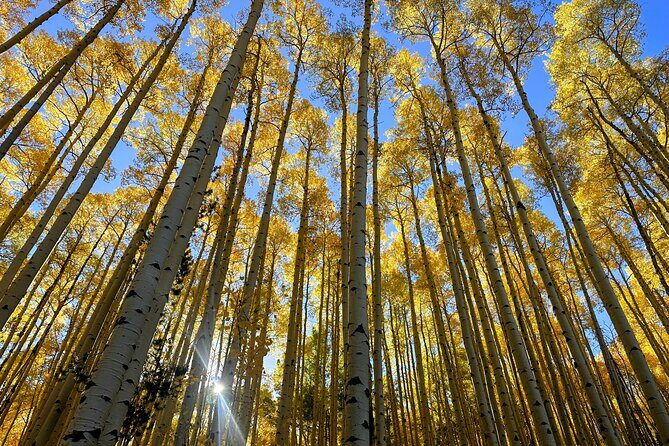 Half Day Tour from Denver Private Guided Hike with Curated Picnic - Who Should Consider This Tour?