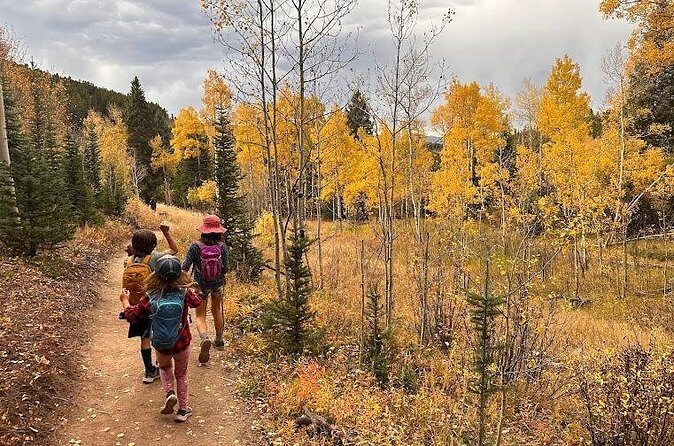 Half Day Tour from Denver Private Guided Hike with Curated Picnic - Final Thoughts
