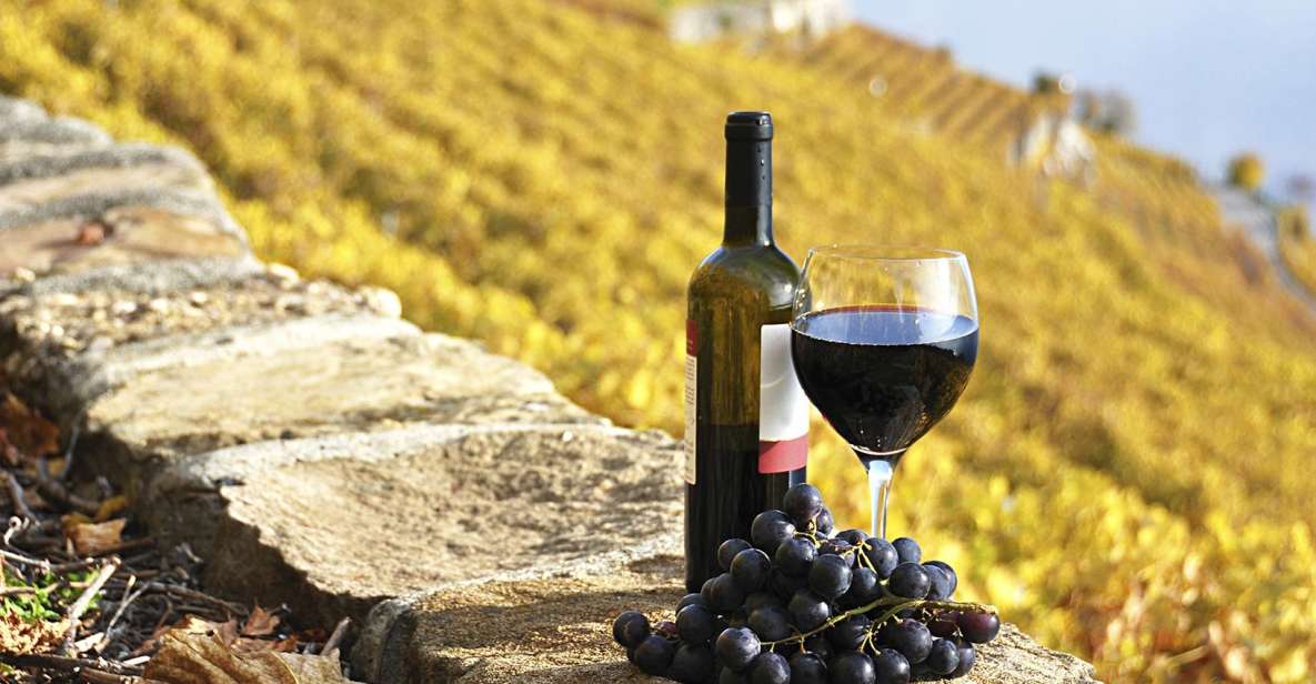 Half-Day Tour from Florence: Chianti Colors & Flavors - Key Points