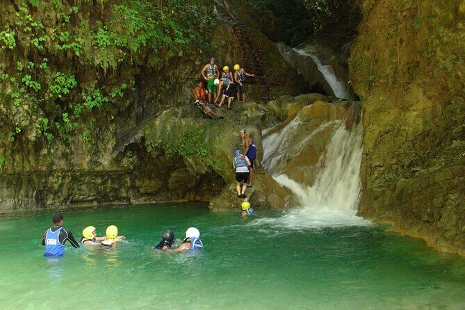 Half-Day Tour in 12 Waterfalls of Damajagua from Puerto Plata - The Overview: What the Tour Offers