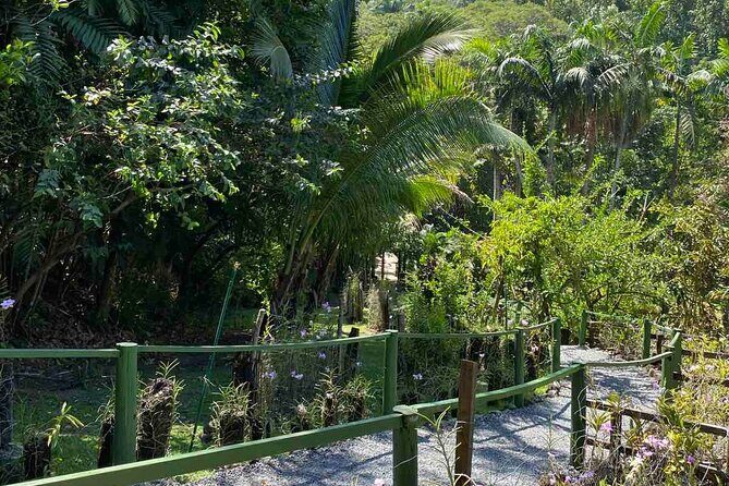 Half Day Tour in Nadi - Key Points