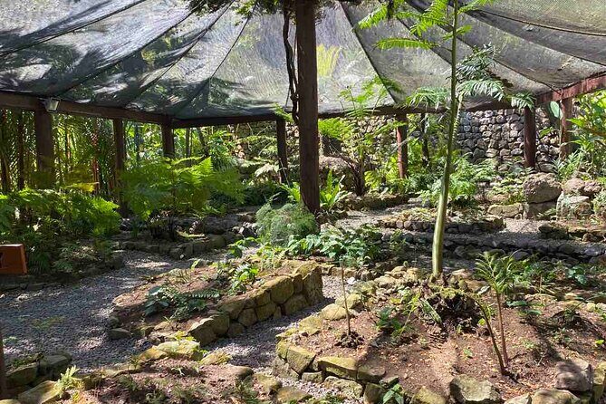 Half Day Tour in Nadi - Who Should Consider This Tour?