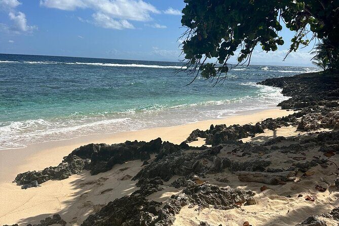 Half Day Tour in Samana with ATV Adventure - Whats Included and Whats Not  