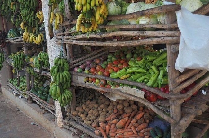 Half Day Tour in Samana with ATV Adventure - Practical Details and Considerations  