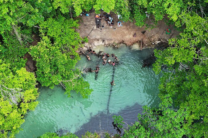 Half Day Tour in Samana with ATV Adventure - Why This Tour Offers Great Value  