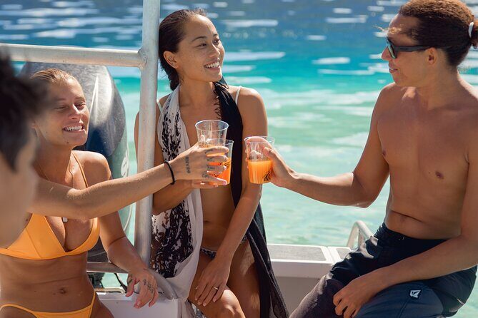 Half Day Tour lagoon discovery marine fauna flora small group - FAQs